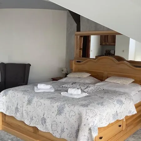 & Wellness Hejtmanka 호텔 5*