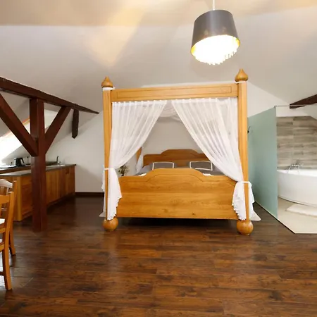 Hejtmanka Hotel Mladá Boleslav