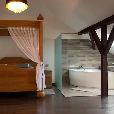 & Wellness Hejtmanka 호텔 5*